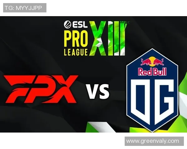 CSGO盛宴揭秘FPX战队的实力与战术风采