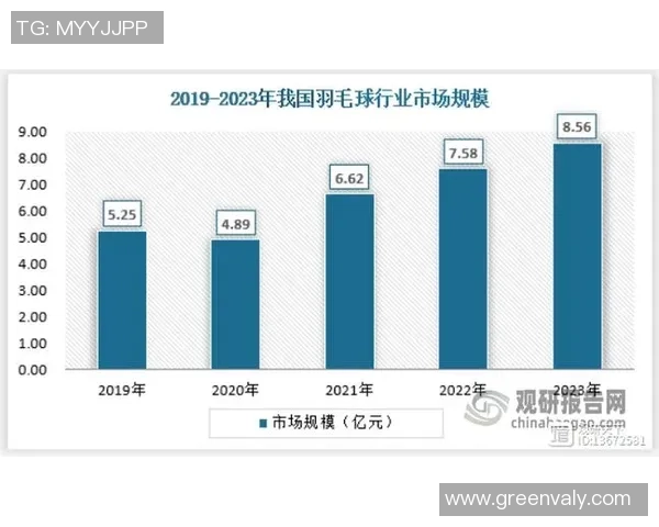 上海羽毛球队的崛起与发展探索：展现羽毛球运动的力量与魅力