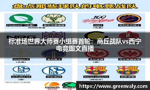 标准场世界大师赛小组赛首轮：商丘战队vs西宁电竞图文直播