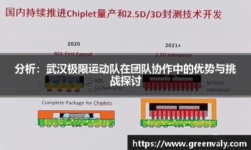 分析：武汉极限运动队在团队协作中的优势与挑战探讨